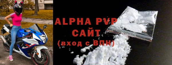 индика Бородино
