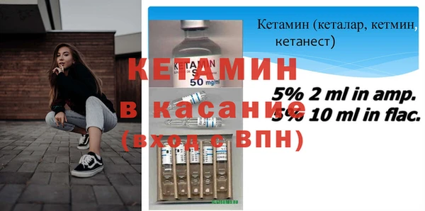 индика Бородино