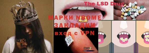 индика Бородино