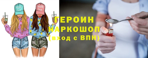 индика Бородино