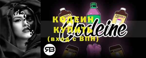 индика Бородино