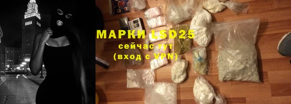индика Бородино