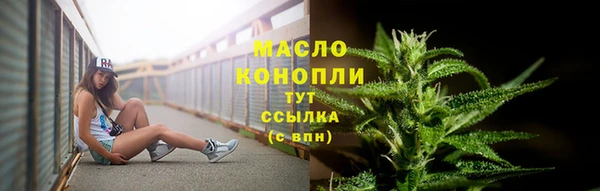 индика Бородино