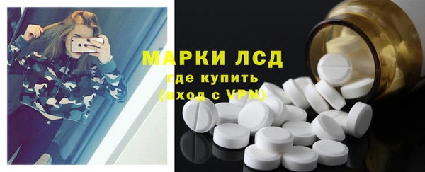 индика Бородино