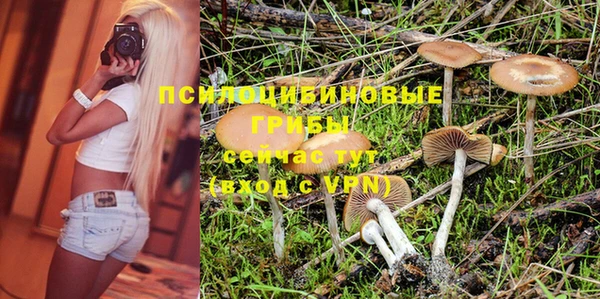 ПСИЛОЦИБИНОВЫЕ ГРИБЫ Бронницы