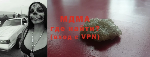индика Бородино