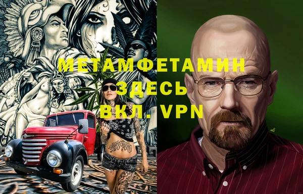 индика Бородино