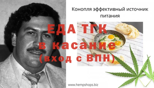 индика Бородино