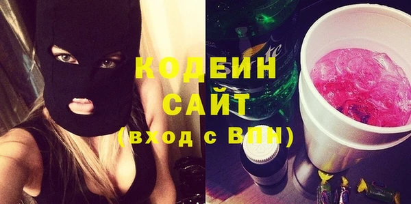 индика Бородино