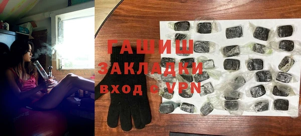 индика Бородино