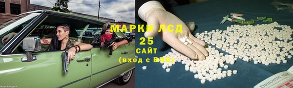 индика Бородино