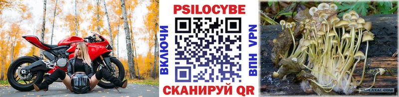 Галлюциногенные грибы Magic Shrooms  Купить  Трубчевск 